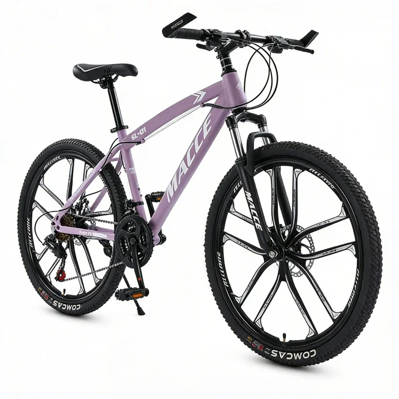 パープル 10 スピード ハイエンド マウンテン バイク 2 - Cycling Low Gear のレビューと価格
