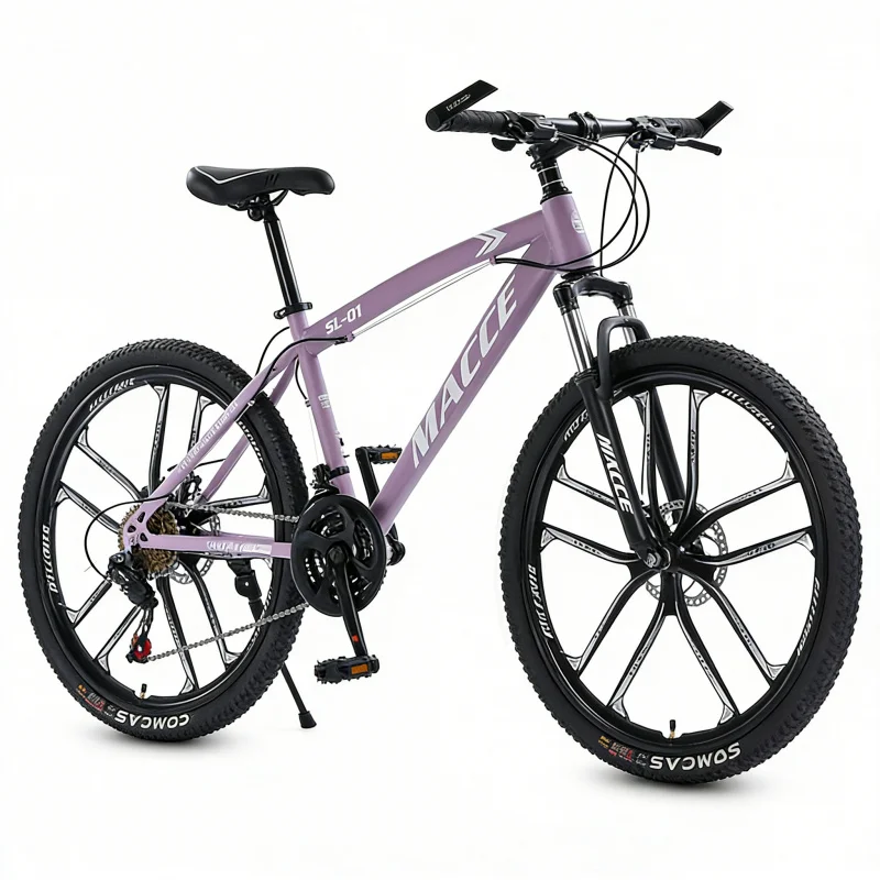パープル 10 スピード ハイエンド マウンテン バイク 2 - Cycling Low Gear のレビューと価格
