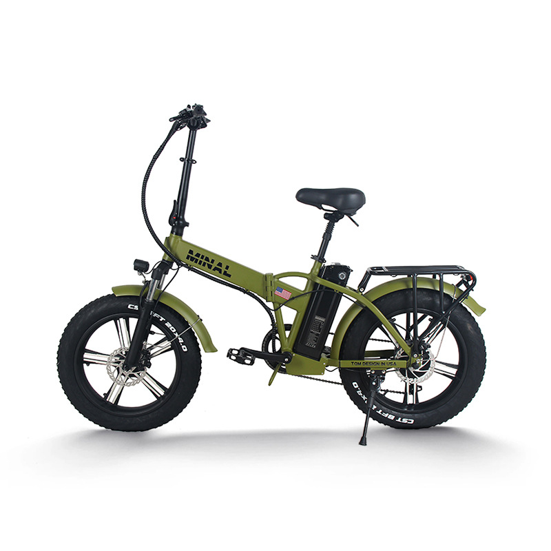 48V 350W 10.5Ah FTC200電動自転車一体型 - Cycling Gear For Commuting のレビューと価格