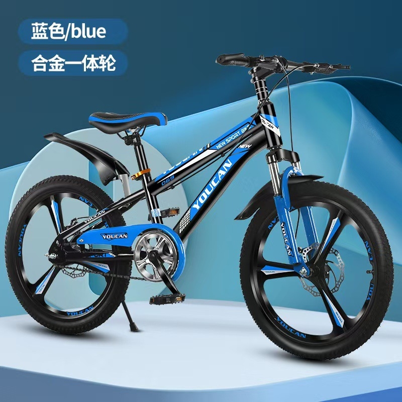 プリンセススタイルキッズマウンテンバイク、女の子向け6～15 - Cycling Low Gear のレビューと価格