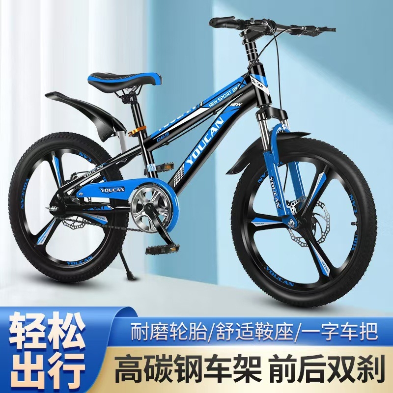 プリンセススタイルキッズマウンテンバイク、女の子向け6～15 - Cycling Low Gear のレビューと価格