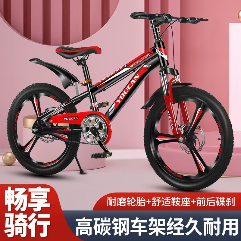 プリンセススタイルキッズマウンテンバイク、女の子向け6～15 - Cycling Low Gear のレビューと価格